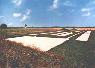 Camp cemetery Limani, Jasenovac