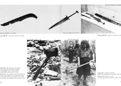 Jasenovac - Means of crime